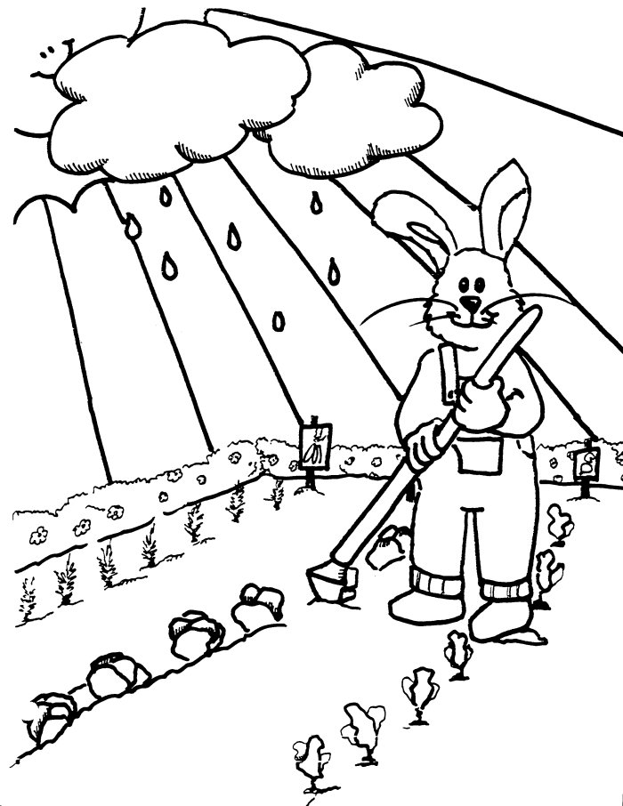 Rabbit coloring pages