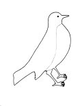 Coloring Sheet of Bird