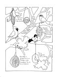 Coloring Sheet of Birds Feeding