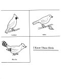 Coloring Sheet of bird identification