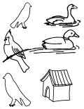 Coloring Sheet of Birds