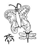 Coloring Sheet of butterflies