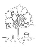 Apple Tree Coloring Sheet