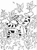 Fall Coloring Sheet