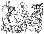 Flowers Coloring Sheet