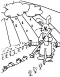 Rabbit in the garden Coloring Sheet