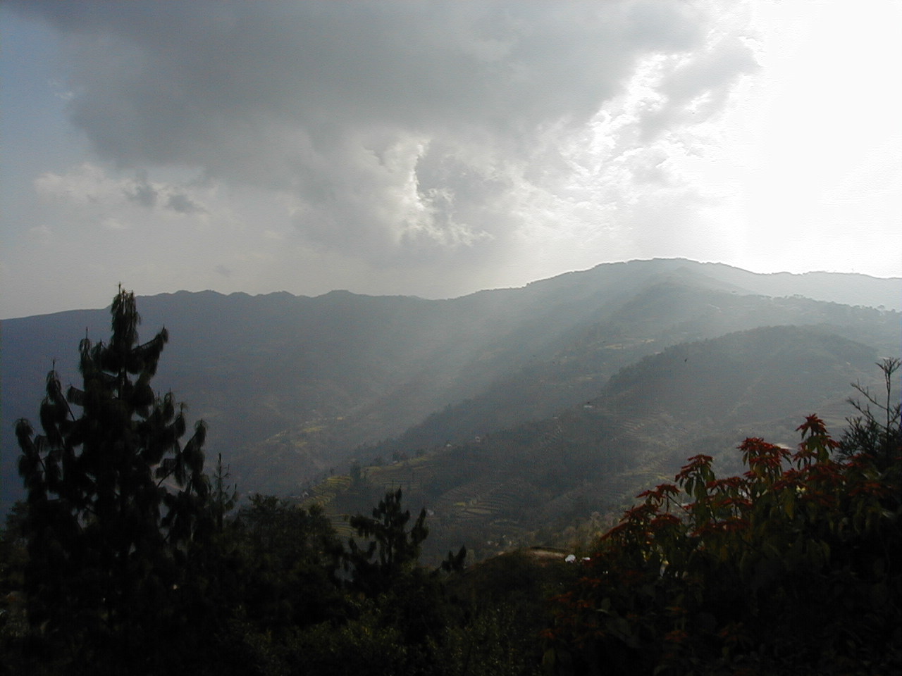 View