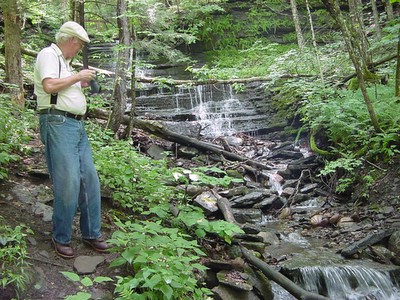 Side waterfall at Pixley Falls