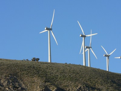 windmills
