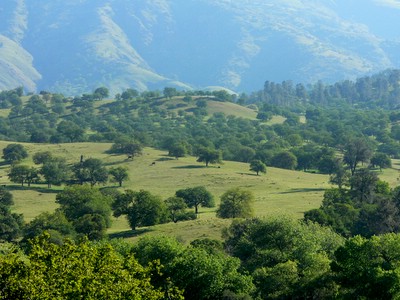 hills on hills