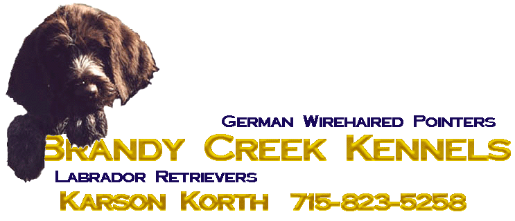 Brandy Creek Kennels Logo