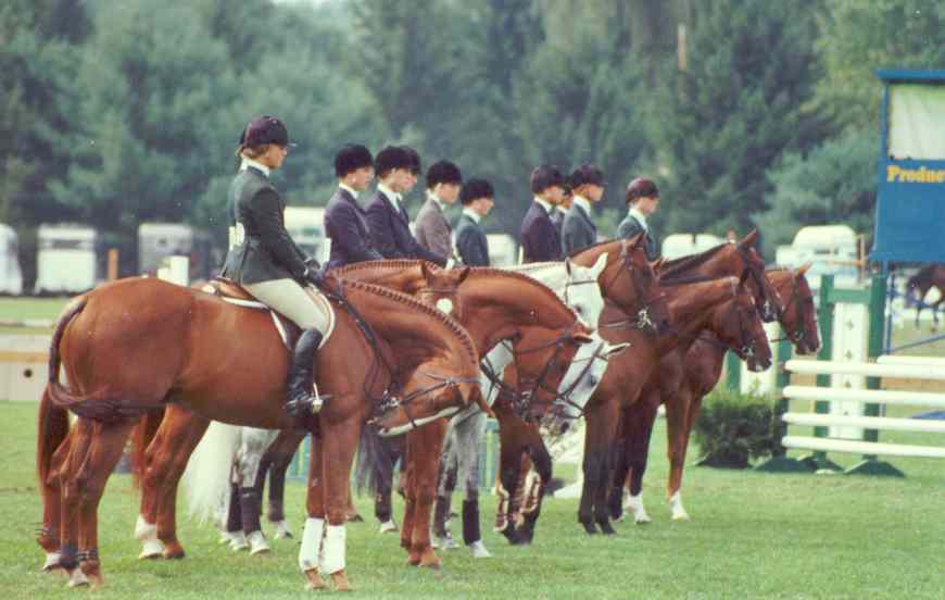 Hunters Lineup