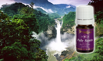 Palo Santo