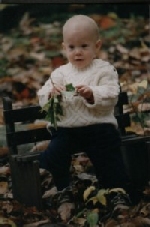 Fall
                        leaves