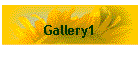 Gallery1