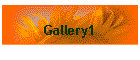 Gallery1