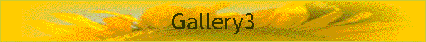 Gallery3