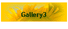 Gallery3