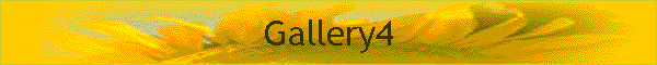 Gallery4