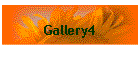 Gallery4