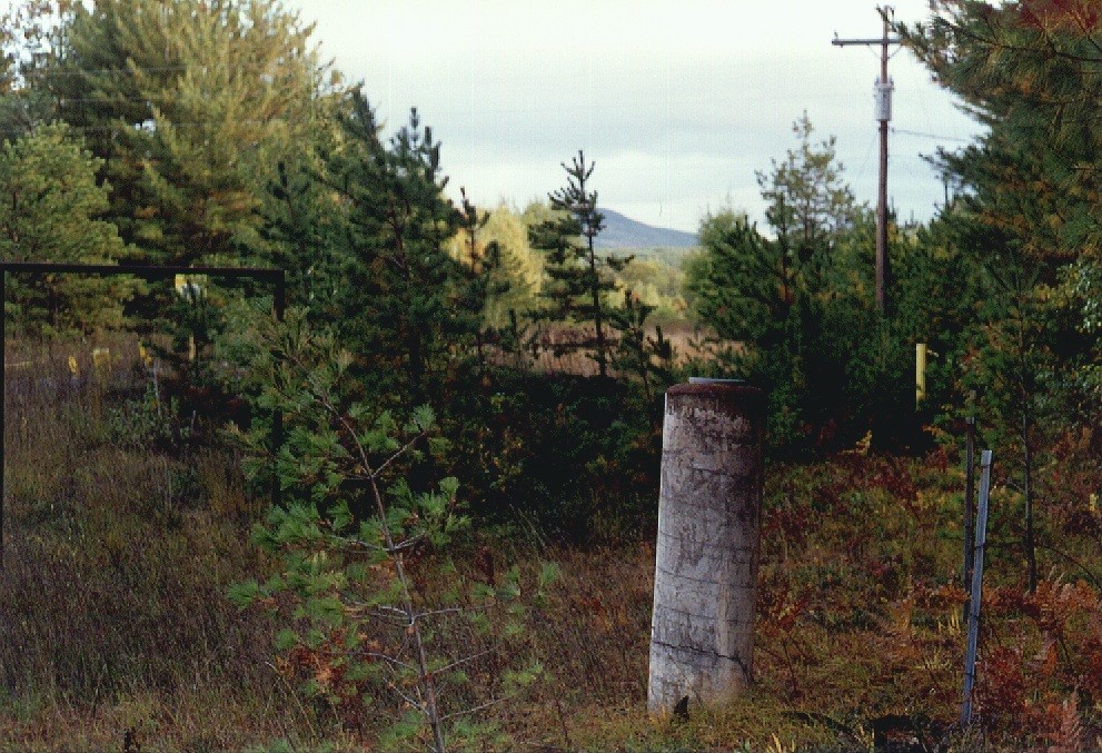 556-06