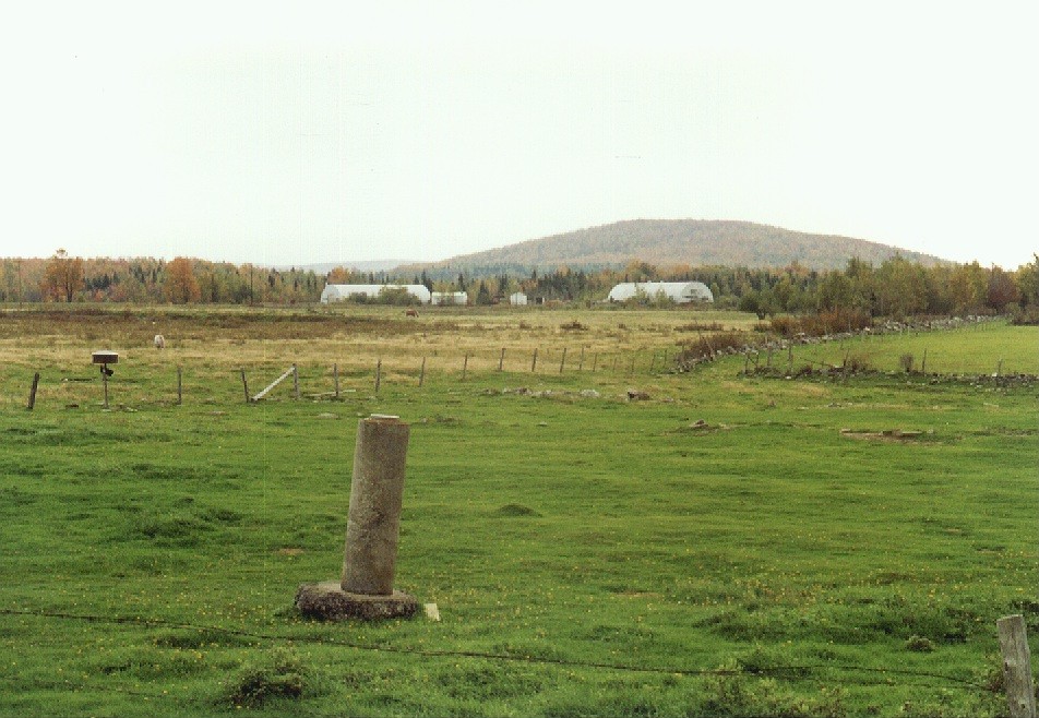 556-10