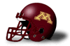 Minnesota Football Site
