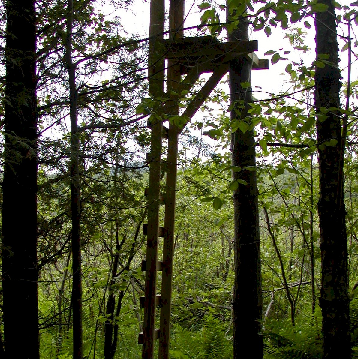 Observation Platform