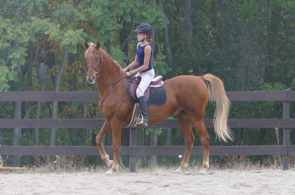 Dakota and Reina 201