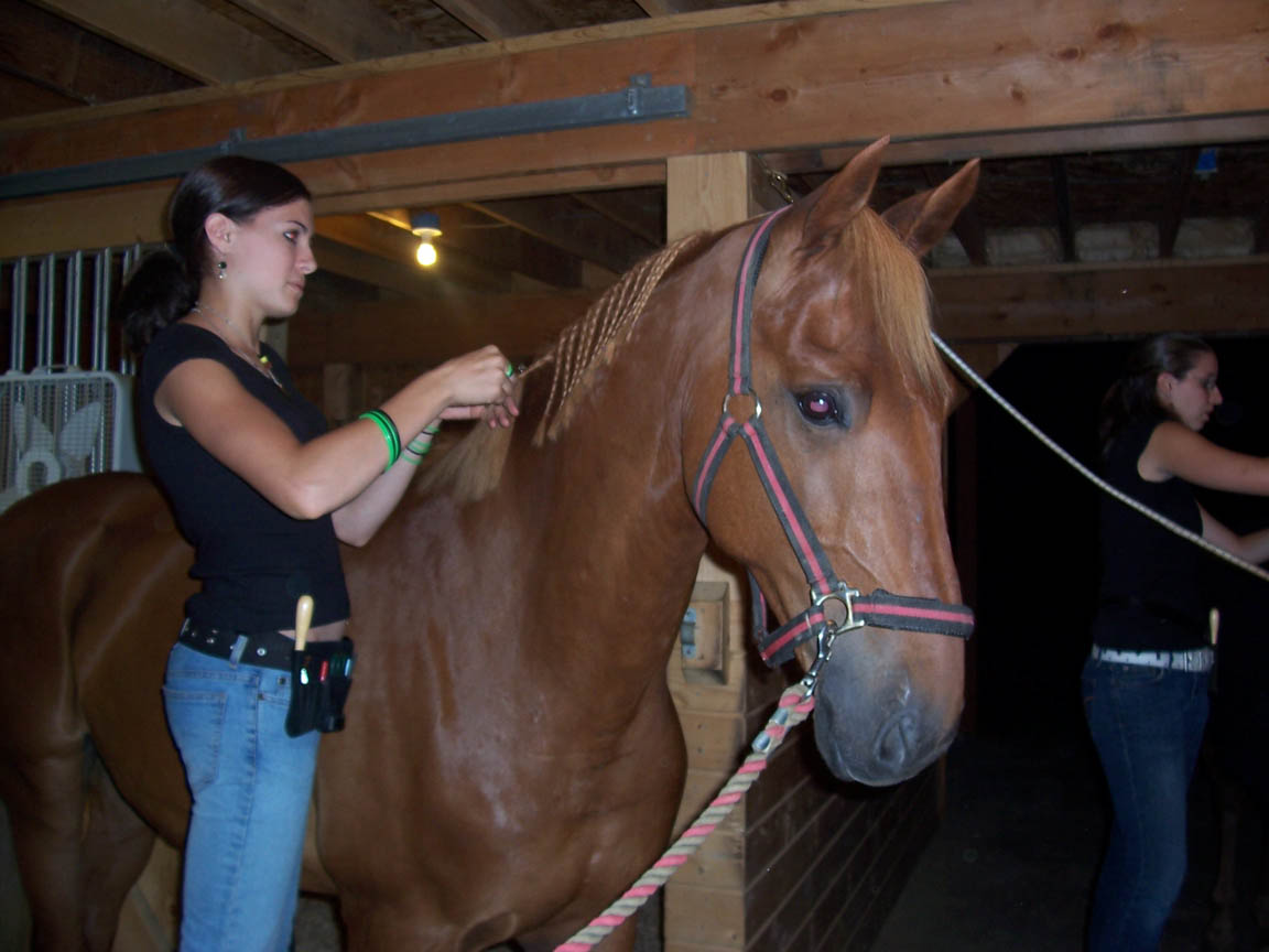 Lucky C Stables 7-05 015