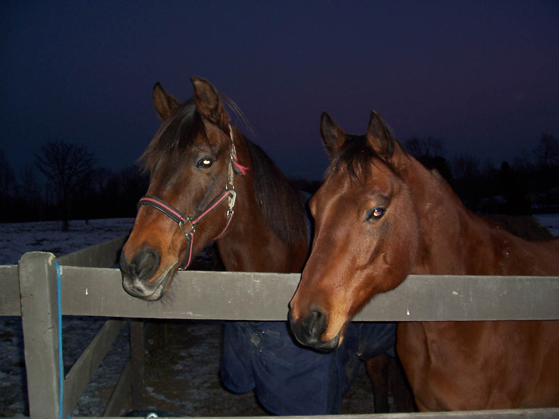 Willoughby and Cayman 012