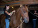 Lucky C Stables 7-05 015