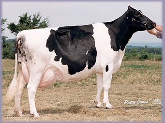 Hanoverhill R Rhonda.jpg (33408 bytes)