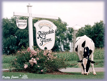 Ridgedale scenic.jpg (45140 bytes)