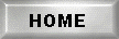 Home button
