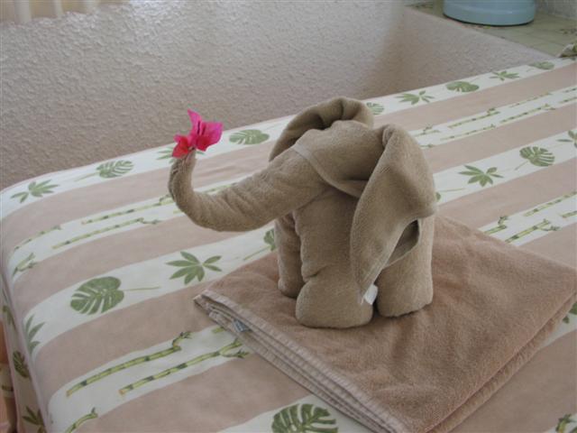 Towel art, day 1