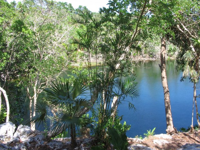 Cenote Jaguar, Xel Ha