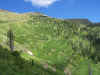 View above Devil's Club Creek.....towards Big Cherry Lake over the ridge.