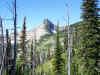 Alaska Peak from the N.E Ridge