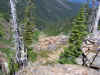 Toward hunting grounds from camp.