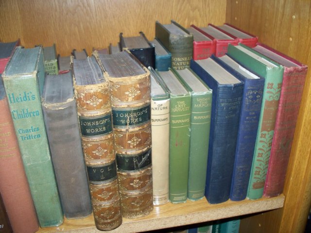 photo215.jpg
