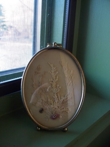 photo227.jpg