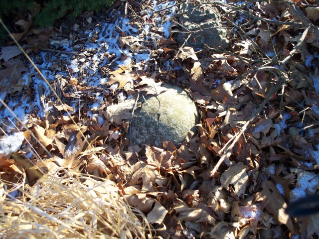 photo288.jpg