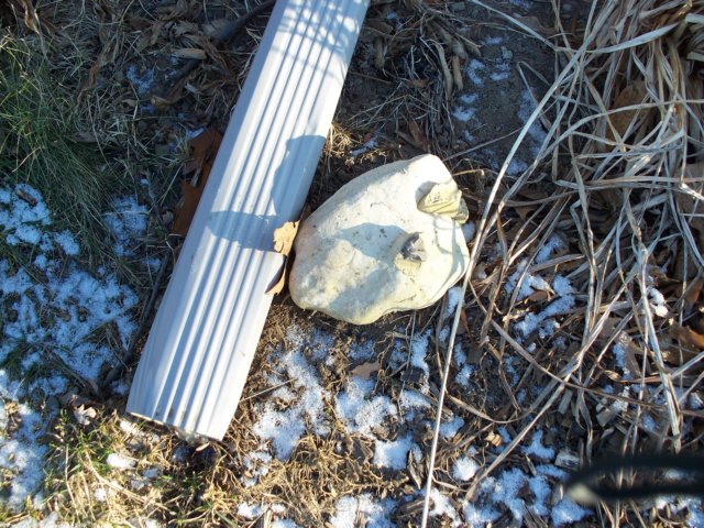 photo290.jpg