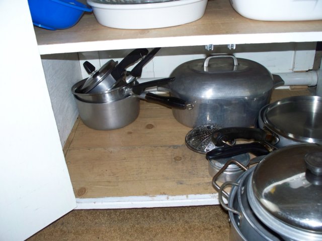 photo46.jpg