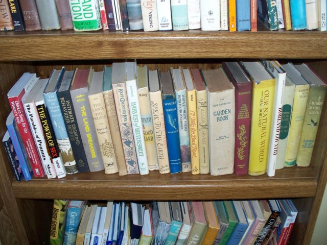 photo80.jpg