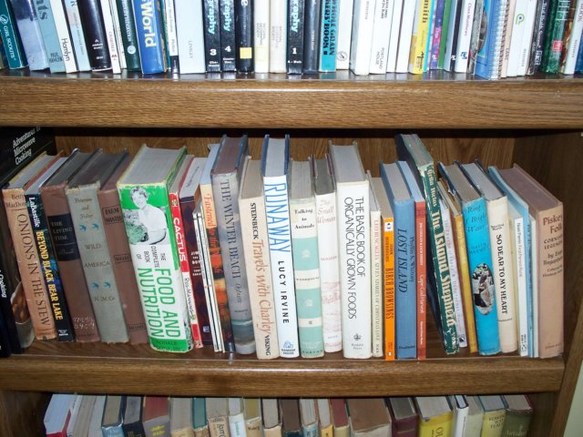 photo81.jpg