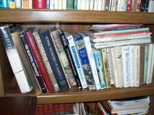 photo85.jpg