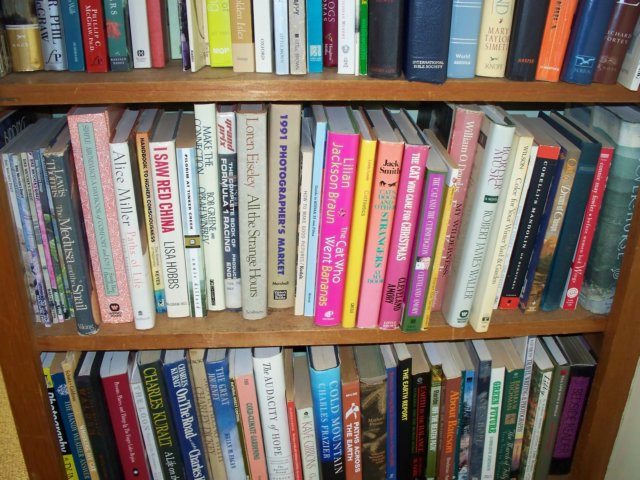 photo91.jpg