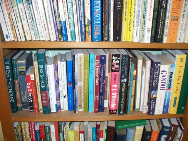 photo93.jpg